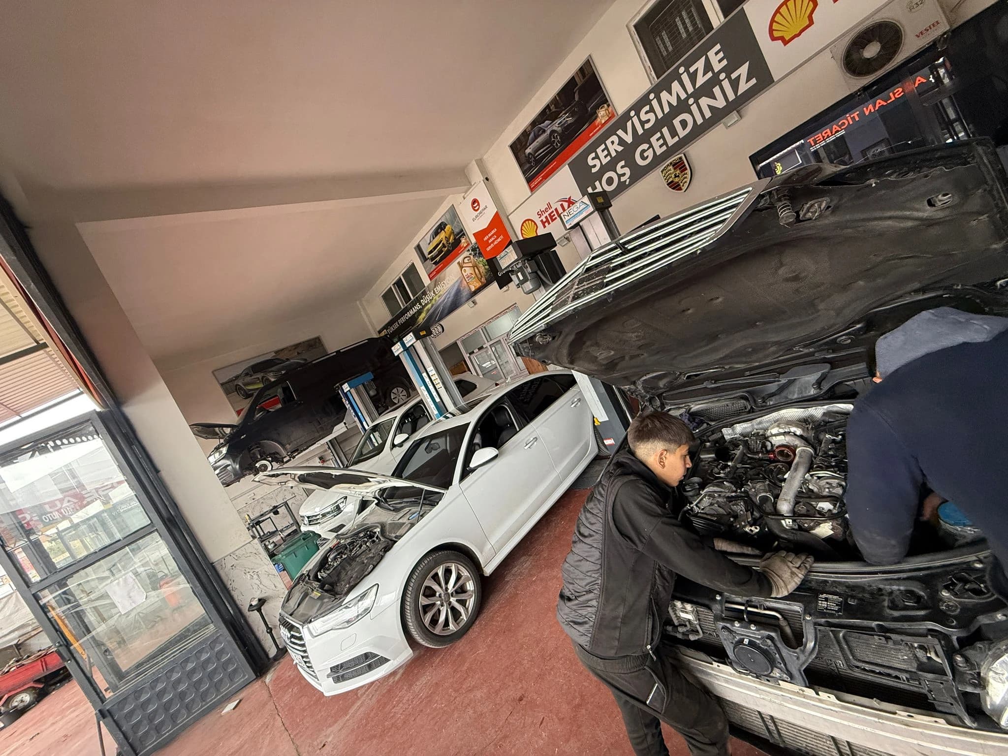 F1 Doğuş Otomotiv Tokat